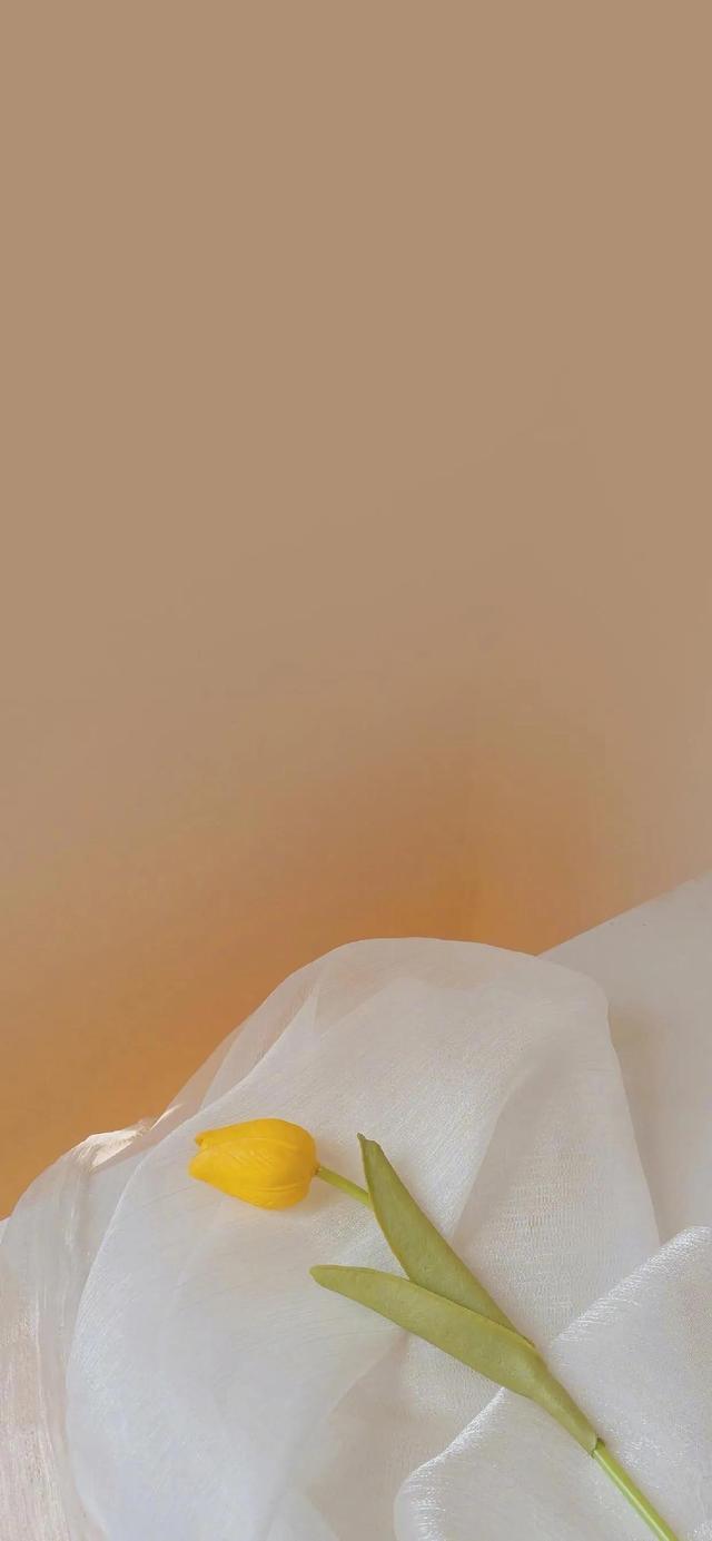 1its6n8evdxm8m