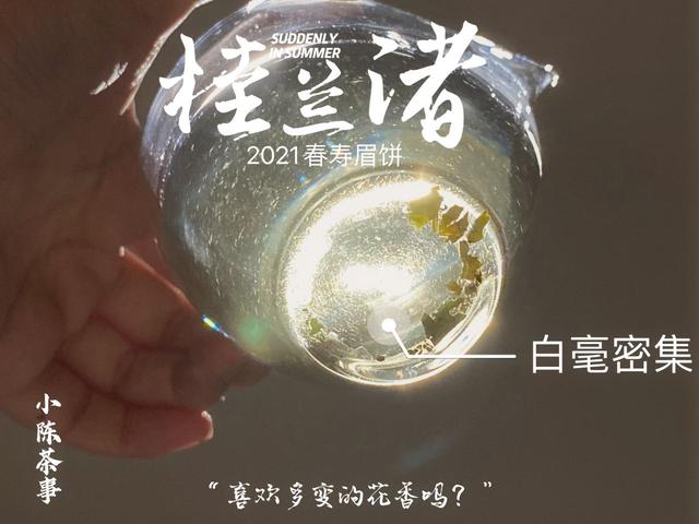 立夏洗砂机