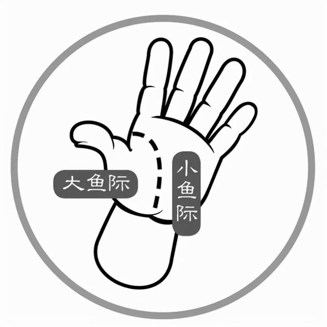 如果你只知道核桃补脑，这几个功能却不知道，那就太可惜了