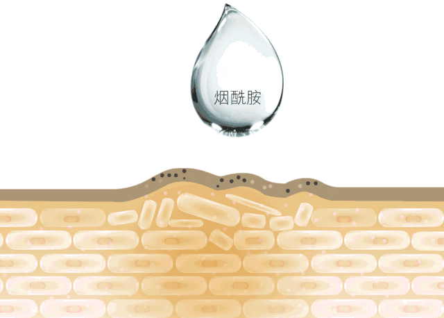 雪玲妃美白身体乳