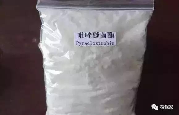 先正达与巴斯夫杀菌剂作用性能大PK，杀菌剂还能这样比较5