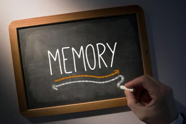 人的大脑是如何储存记忆的