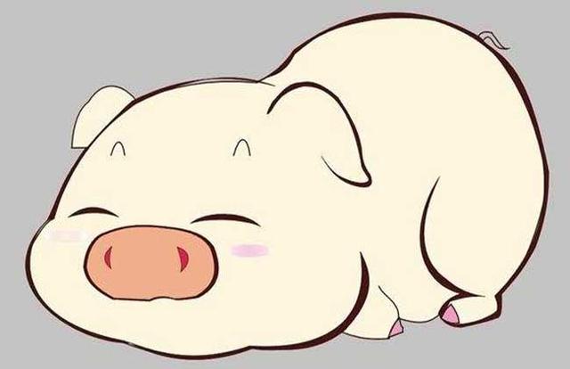九牛一毛是什么生肖