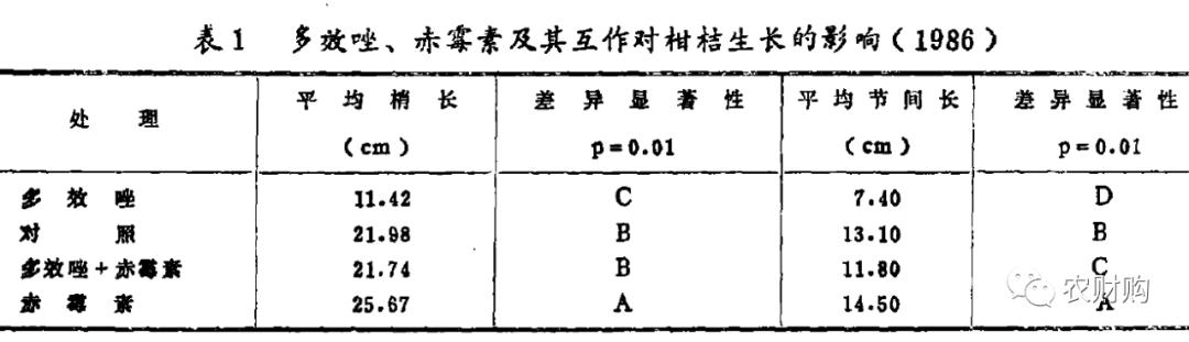 新≠好，控梢老药便宜好用！果皮细腻不影响膨大，还能混配杀虫剂6