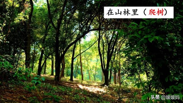 探组词