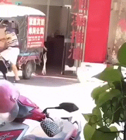美女的内涵GIF图片：谁能顶住这一低头的温柔