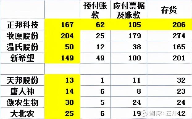 到底哪头猪，会倒在这个冬天？