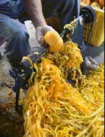 爆笑的动图图片：天太热了，我不管，我就要脱光光