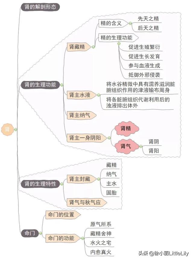 中医五脏病机全解 太阳信息网