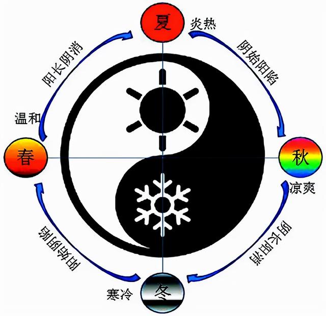 掌握了食用药膳这些制作要点，才能防病治病，保健强身