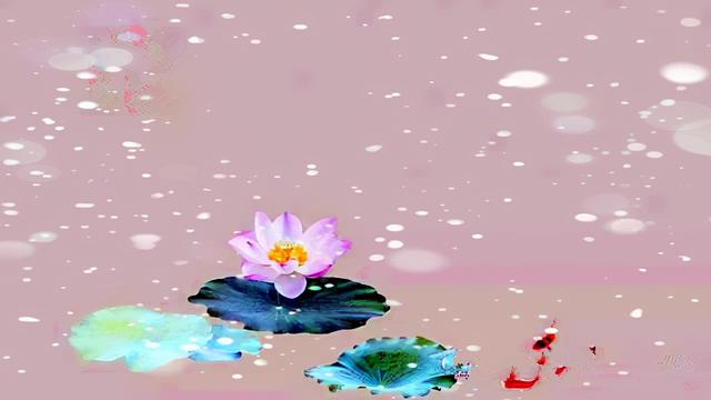 呼庚呼癸