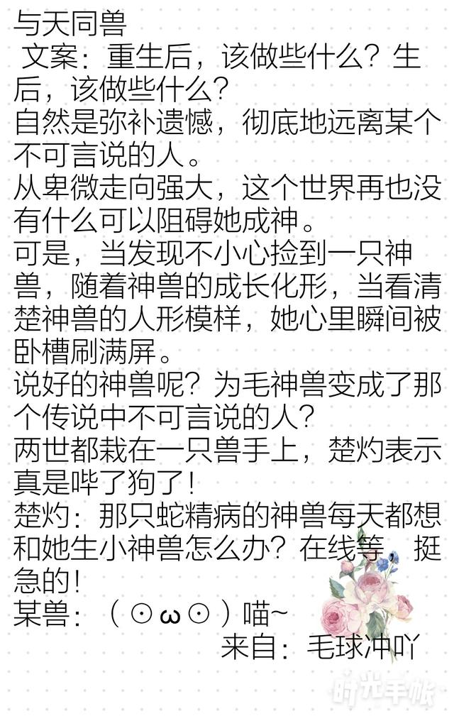 宠文小说作者推荐「哪有超好看的宠文小说」