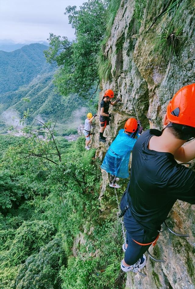 良好的饮食习惯我们都知道好，可是为什么我们还是将就孩子呢？