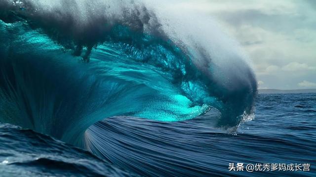 十一假期，陪孩子必看的7部神级纪录片，千万别错过