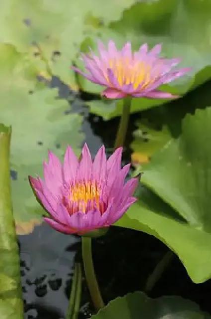这个世界上，从来不缺聪明的人，缺的是为人处世靠谱的人