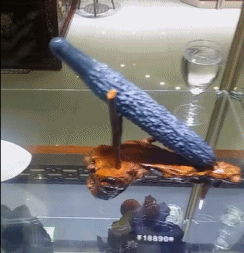 爆笑的动态图GIF：雪中送炭是这样吗？
