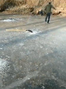 爆笑的动态图GIF：雪中送炭是这样吗？