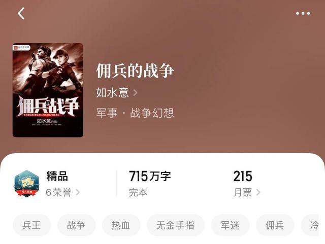 雇佣兵小说
