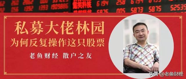 林园股票(林园2020重仓的股票) 第2张