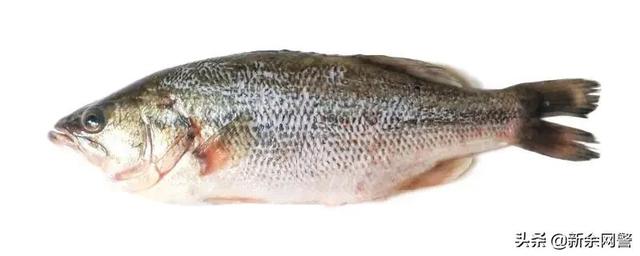 别做一条任人宰割的“鱼”！