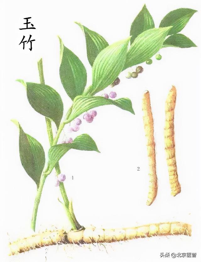 冬季皮肤干燥怎么办？药师推荐这几款中药