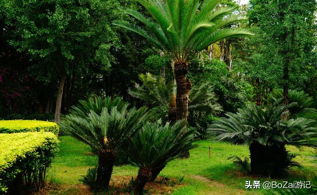 攀枝花旅游景点大全