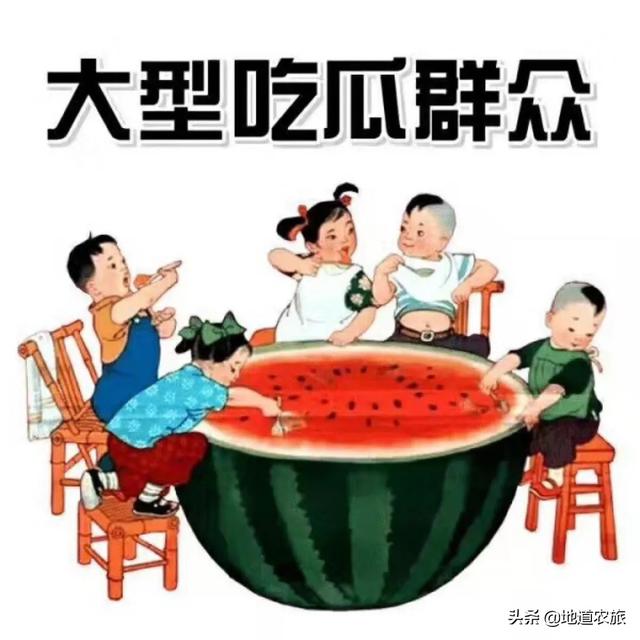 三仓现代农业产业园规划东台三仓润丰现代农业产业园