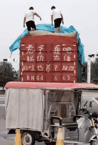 搞笑的GIF趣图：洋大人左拥右抱！单生狗要更多了！