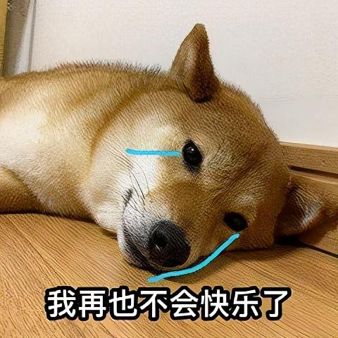 狗钩虫病