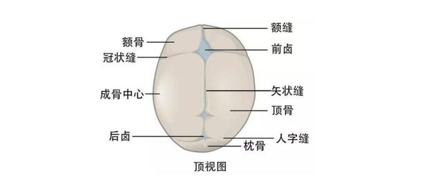 痉挛怎么读 痉挛怎么读（痉挛怎么读拼音） 生活