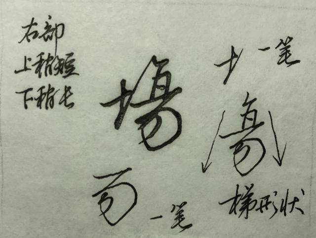 鸟的笔顺怎么写