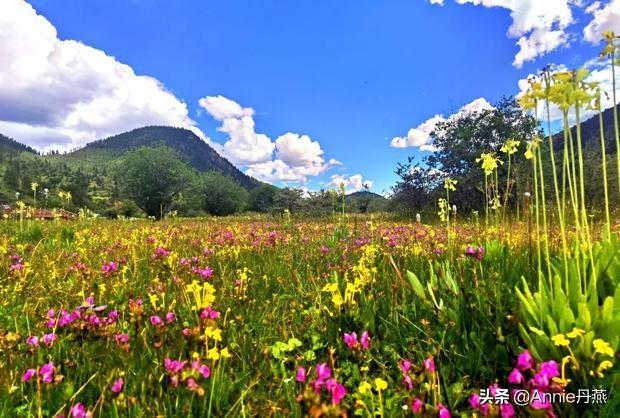 ����׿���ר������(Ϊ�������ԣ�����׿������ز��������δ�ʹ��ν���г�����֤��)