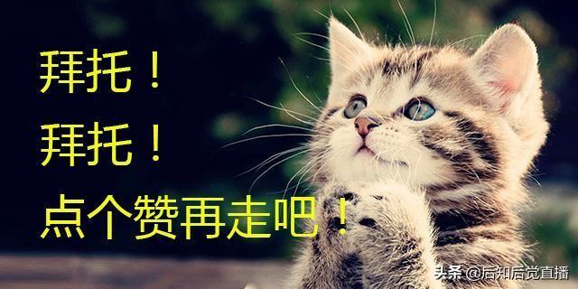 军工特钢龙头股