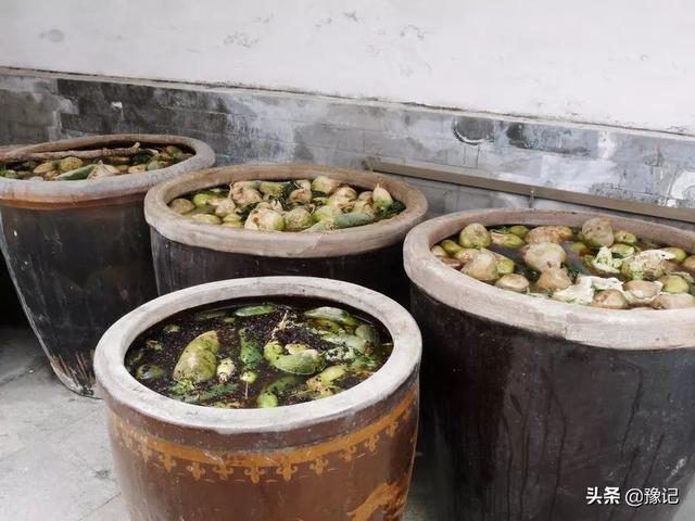 芥菜是什么 芥菜是什么（芥兰是芥菜吗） 生活
