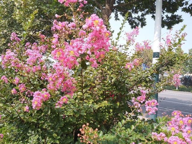 老年人正确理解“春捂秋冻”。宜于身体健康