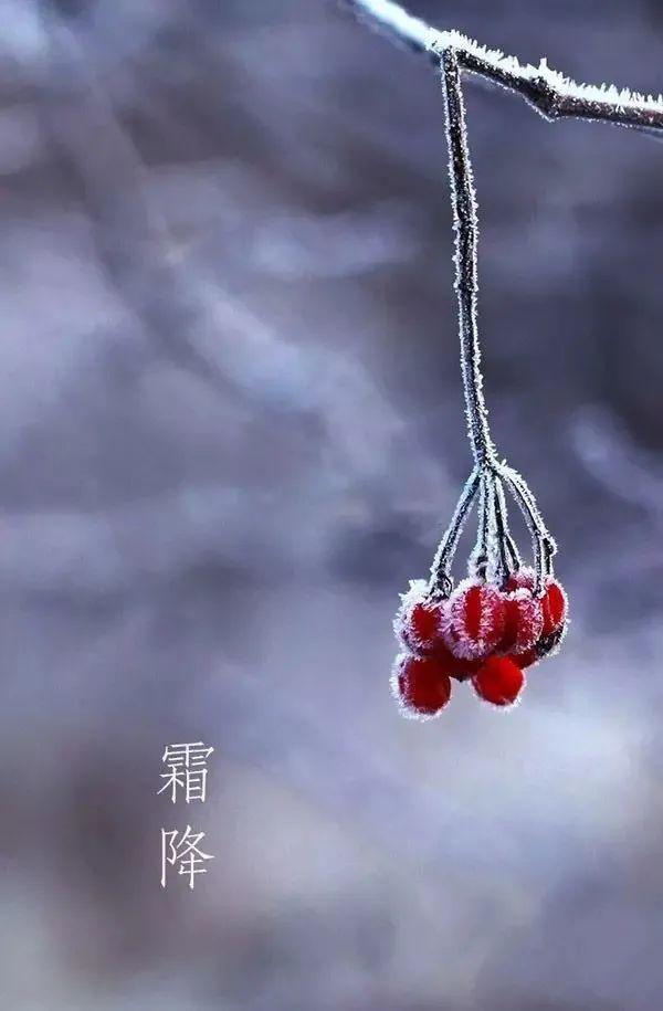 最银南 | 秋季适合喝什么茶