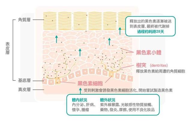 脸部快速美白