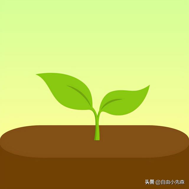 推荐12个让你相见恨晚的app，靠谱实用建议收藏