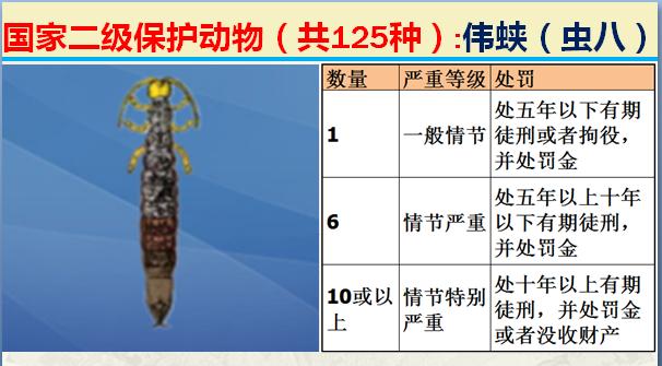 国家二级保护动物