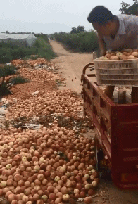 爆笑的动图GIF：你的摩托车加的是白酒吧