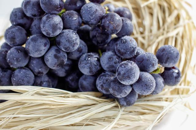 芸苔素能膨大葡萄吗？不但提高产量，还能改善品质，提早成熟1