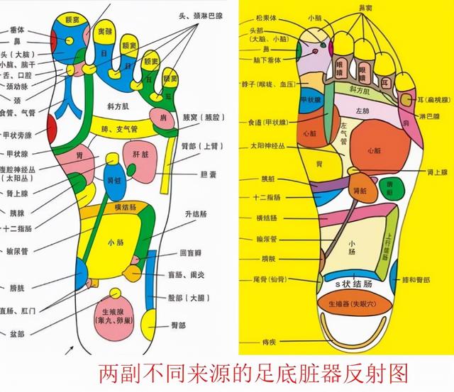 足底按摩真的有用吗