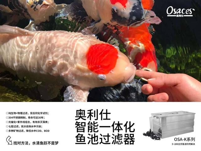 鱼池过滤机怎么使用的简单介绍