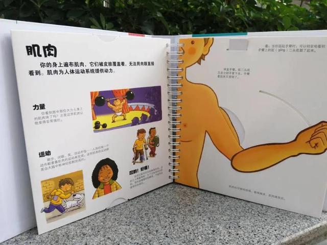 "我们的身体，翻烂了的机关书"