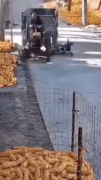 爆笑的动图GIF：年纪轻轻吃蟹技能就点满了