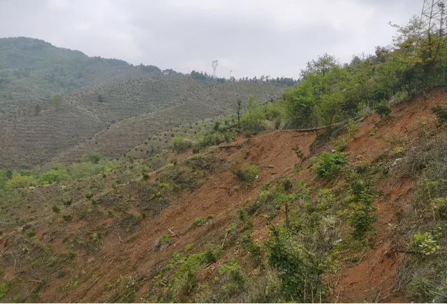 黄山市车辆违章查询网4年前市长背处分事中央督察再点太平湖违建追责