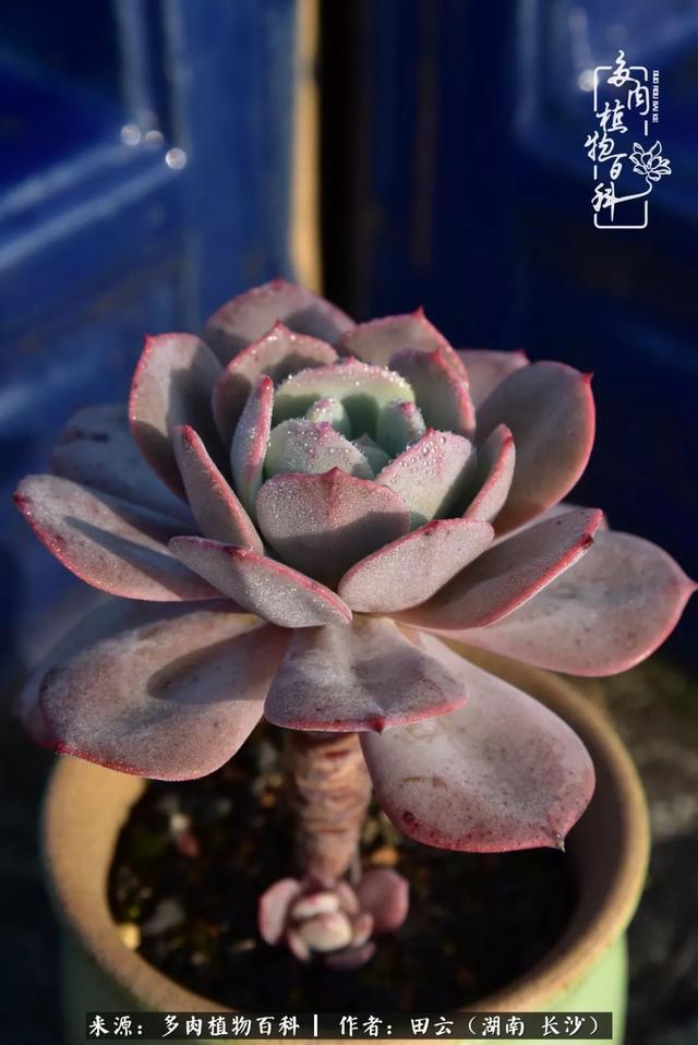 影片剧照