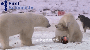 搞笑的GIF动态图：女朋友独处的厨房，干柴烈火！