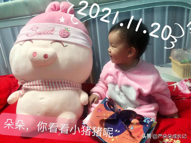 《朵朵宝宝看书记》十个月宝宝爱看立体书