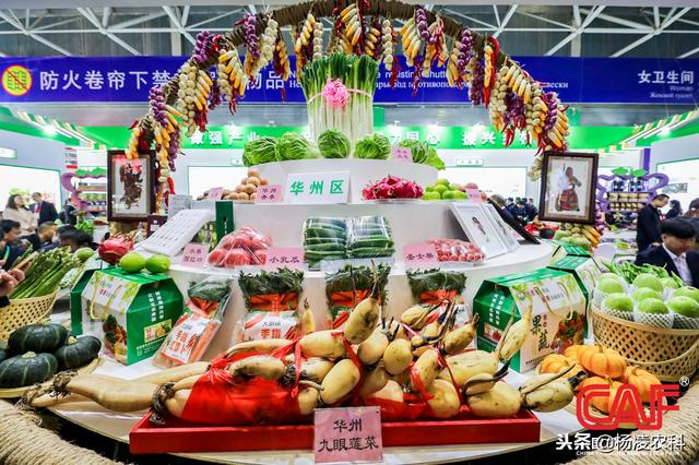 2018杨凌农高会果蔬机械展